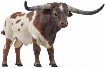 animal-1-1.jpg